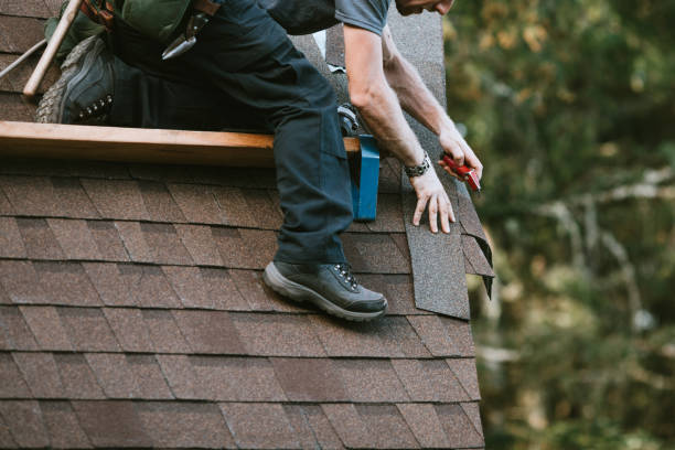 Best Local Roofing Companies  in Menonee, MI