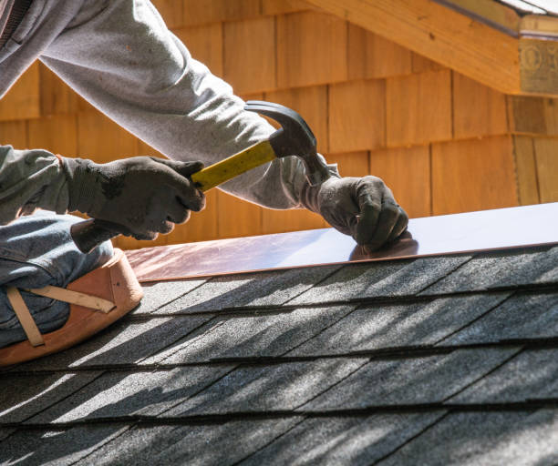 Best Roof Gutter Cleaning  in Menonee, MI